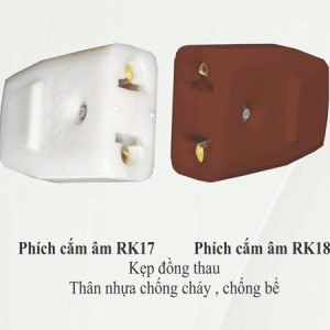 Phích Cắm RK 2