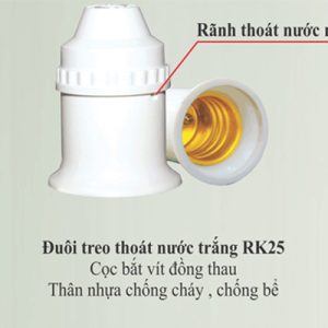 Đuôi Đèn Trắng